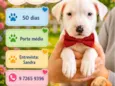 Zeca