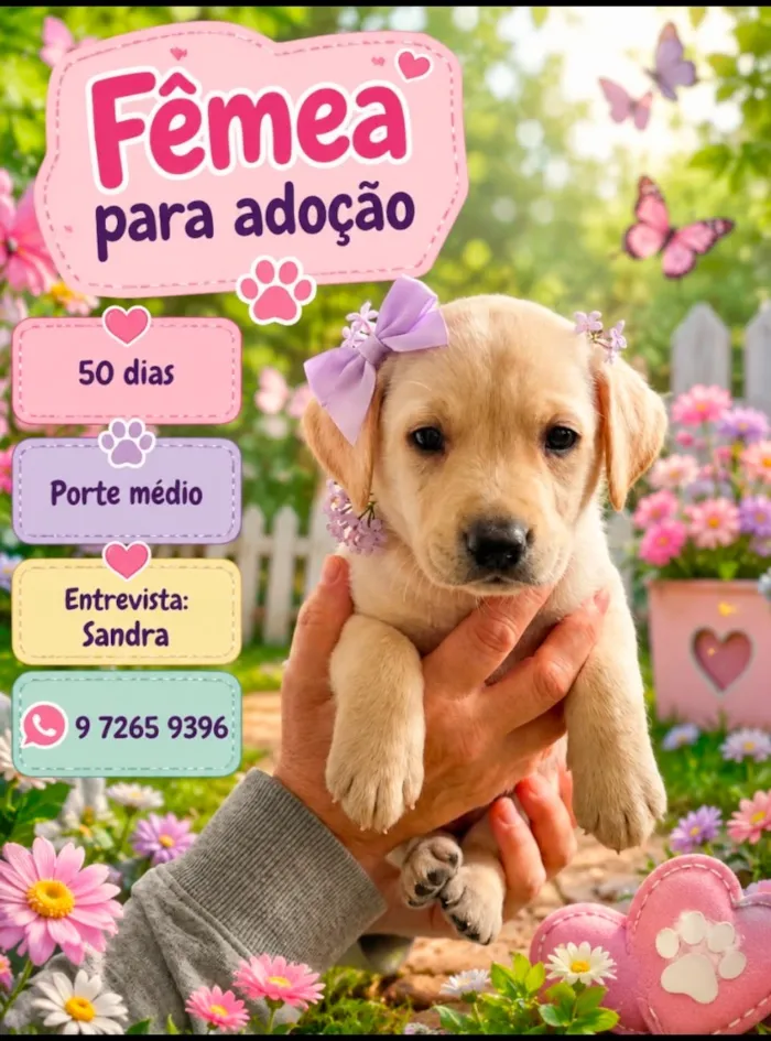 Cachorro raça SRD-ViraLata idade Abaixo de 2 meses nome Anny