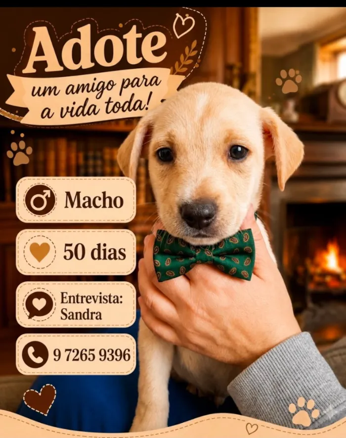 Cachorro raça SRD-ViraLata idade Abaixo de 2 meses nome Billy 