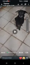 Kira