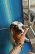 Está sem nome 