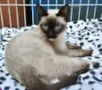LENINHA MIX