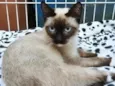 LENINHA MIX