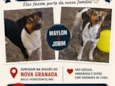 Maylon e Jobim