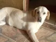 Linda