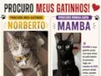 Norberto