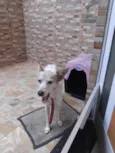 Nick