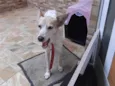 Nick