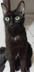 Norberto
