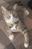 Norberto