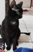 Norberto