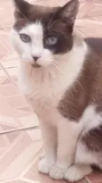 Xana