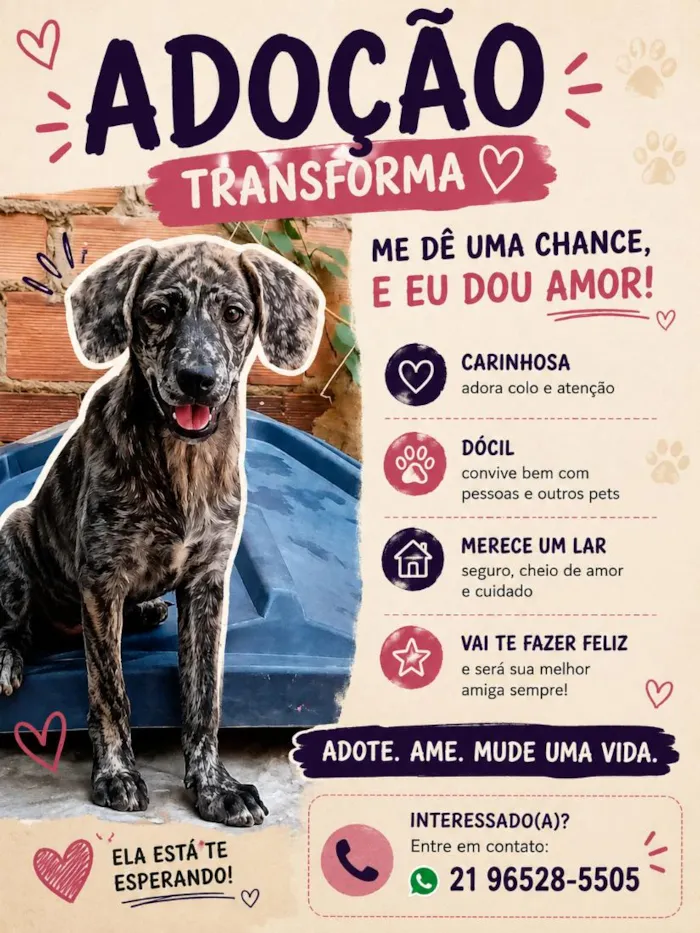 Cachorro raça SRD-ViraLata idade 7 a 11 meses nome Pipoca