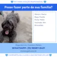 vagabundo 