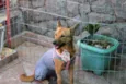 Princesa