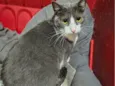 Zoe