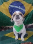 pepe