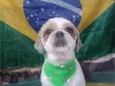pepe