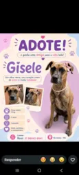 Gisele