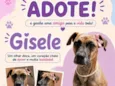 Gisele