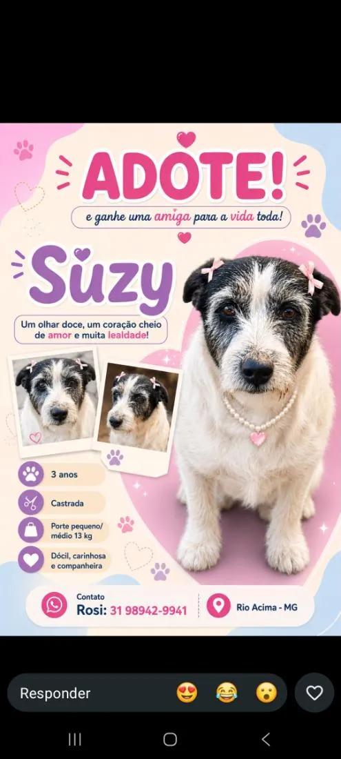 Cachorro raça SRD-ViraLata idade 3 anos nome Suzy