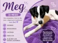 Meg