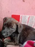 Matilda