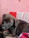 Matilda