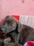 Matilda