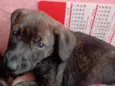 Matilda