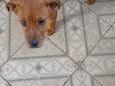 toto