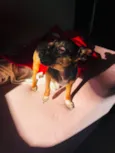 Nina