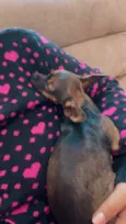 Nina