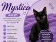 Mystica