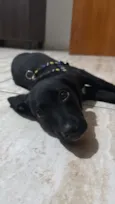 Ainda não há um nome específico 