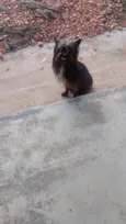 Não sei