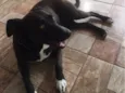 Kiara