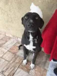 Kiara