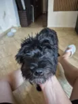 Paçoca