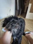 Paçoca