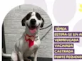Drica