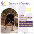 Shawn Mendes