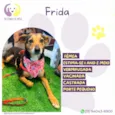 Frida