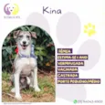 Kina