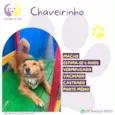 Chaveirinho