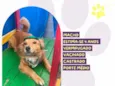 Chaveirinho