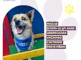 Bruno