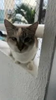 Margot