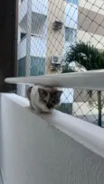 Margot