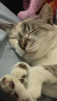 Margot